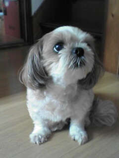 ������������⋆LBH⋆