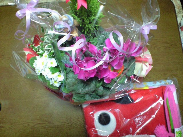 ������������⋆LBH⋆