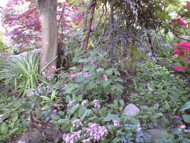 ������������⋆LBH⋆