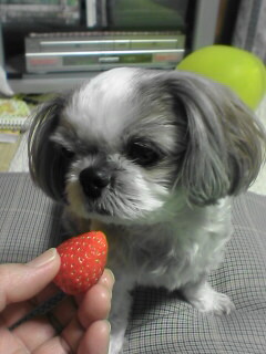 ������������⋆LBH⋆