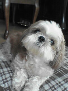 ������������⋆LBH⋆