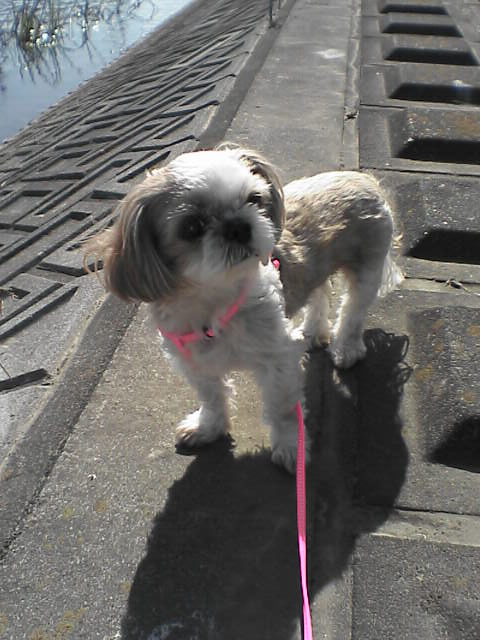 ������������⋆LBH⋆