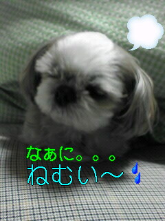 ������������⋆LBH⋆