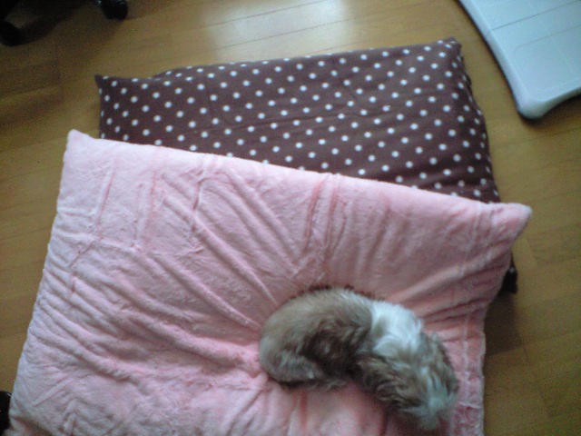 ������������⋆LBH⋆