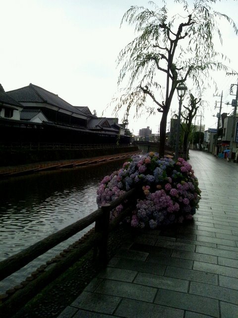 ������������⋆LBH⋆