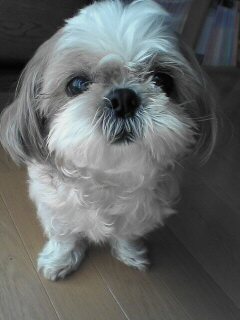 ������������⋆LBH⋆