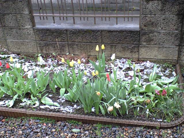 ������������⋆LBH⋆