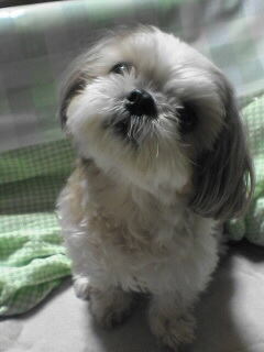 ������������⋆LBH⋆