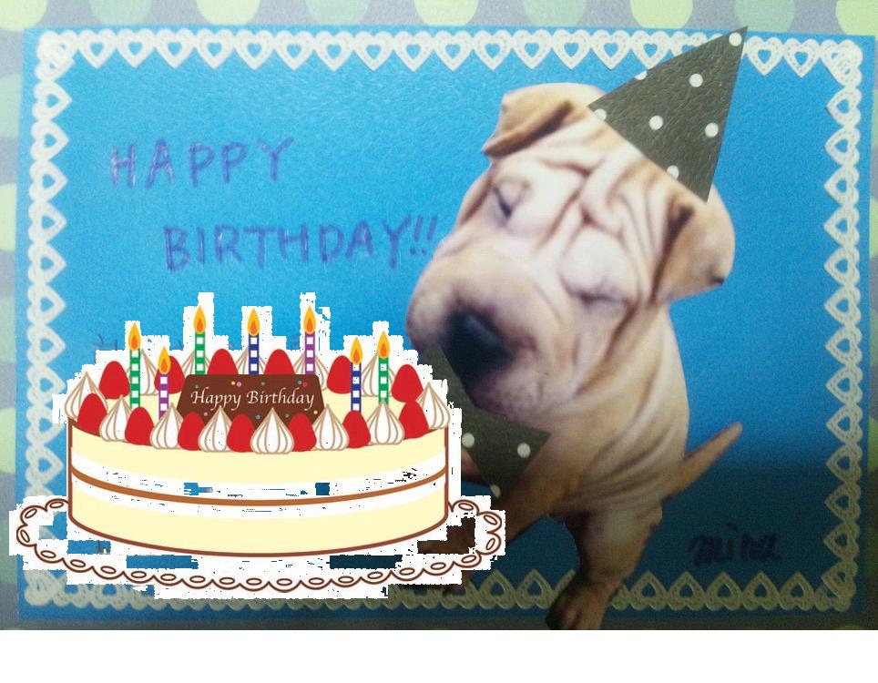 ������������⋆LBH⋆