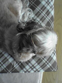 ������������⋆LBH⋆