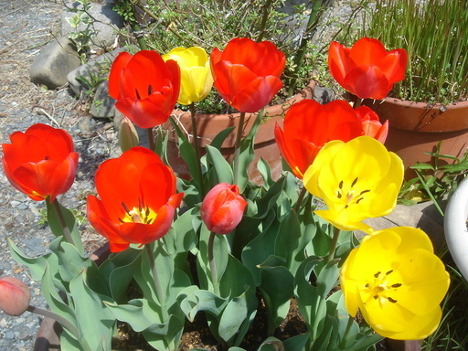 �^�N����́u��͉��|�v