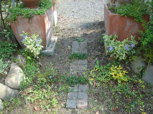 �^�N����́u��͉��|�v