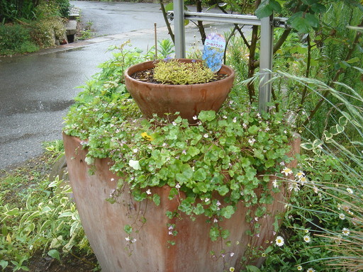 �^�N����́u��͉��|�v