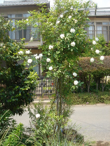 �^�N����́u��͉��|�v