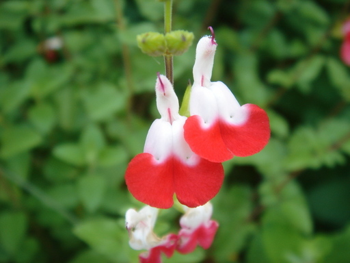 �^�N����́u��͉��|�v