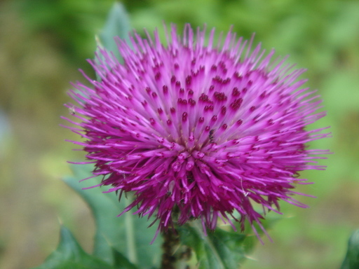 �^�N����́u��͉��|�v