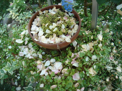 �^�N����́u��͉��|�v