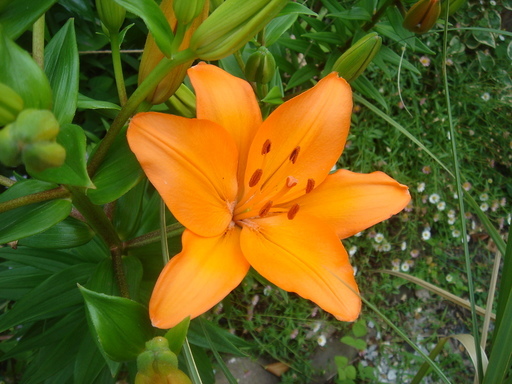 �^�N����́u��͉��|�v