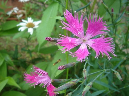 �^�N����́u��͉��|�v