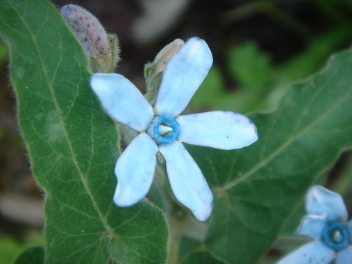 �^�N����́u��͉��|�v