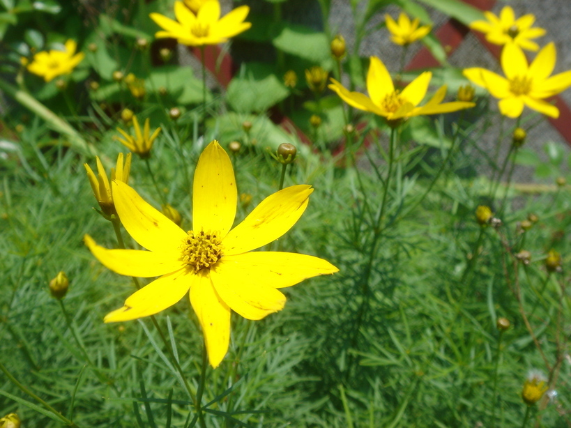 �^�N����́u��͉��|�v