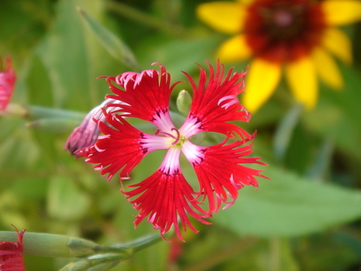 �^�N����́u��͉��|�v