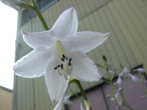 �^�N����́u��͉��|�v