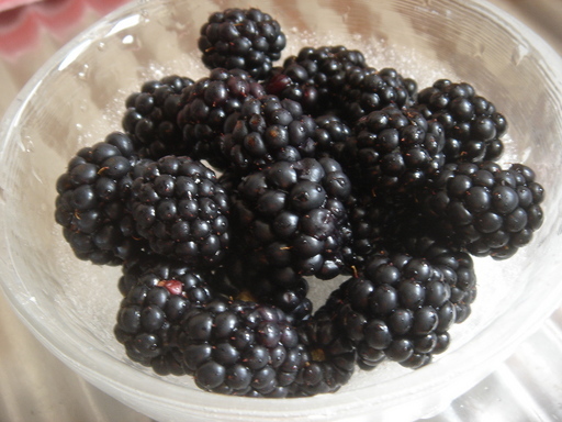 �^�N����́u��͉��|�v