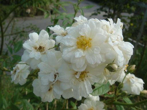 �^�N����́u��͉��|�v