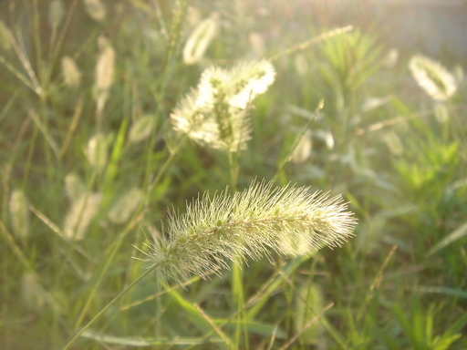 �^�N����́u��͉��|�v