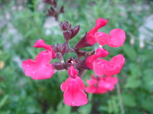 �^�N����́u��͉��|�v