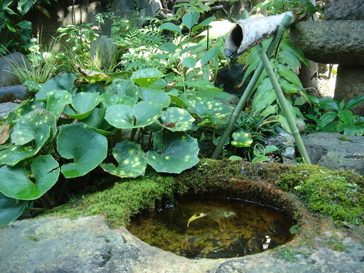 �^�N����́u��͉��|�v