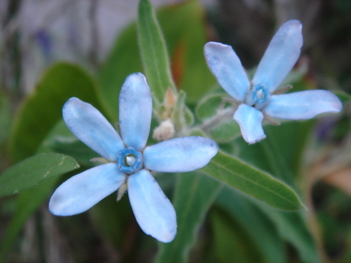 �^�N����́u��͉��|�v