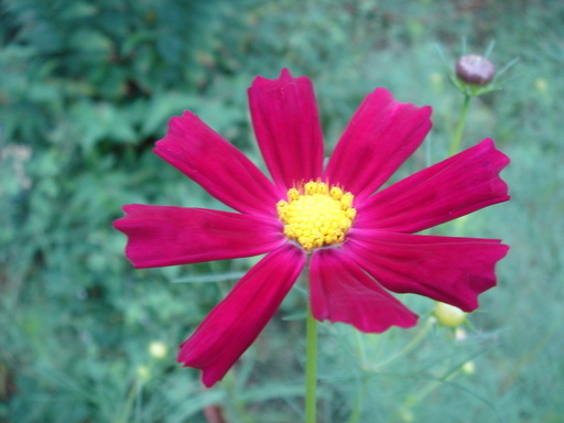 �^�N����́u��͉��|�v