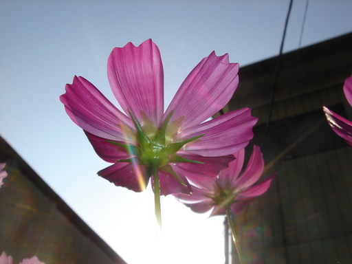 �^�N����́u��͉��|�v