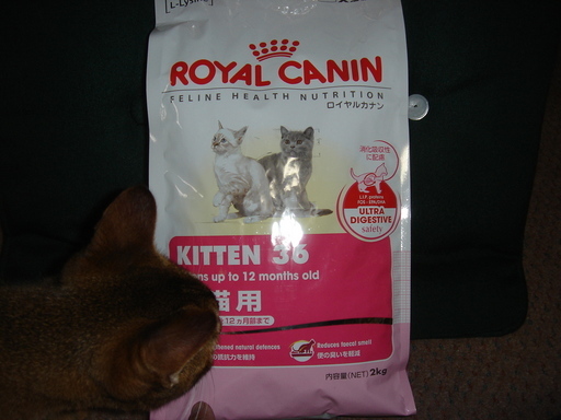 �^�N����́u��͉��|�v