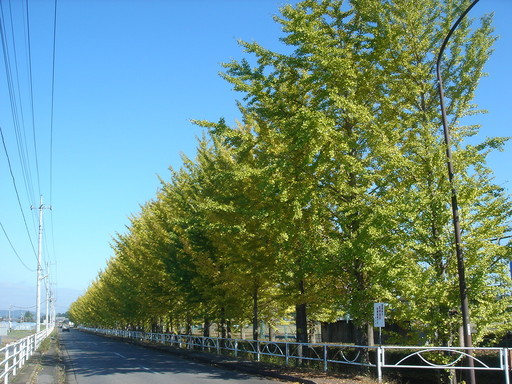 �^�N����́u��͉��|�v