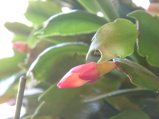 �^�N����́u��͉��|�v