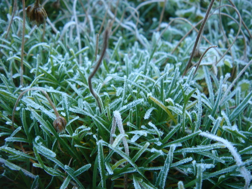 �^�N����́u��͉��|�v