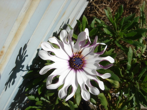 �^�N����́u��͉��|�v