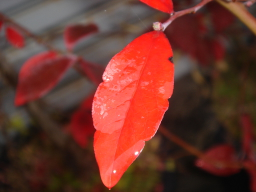 �^�N����́u��͉��|�v