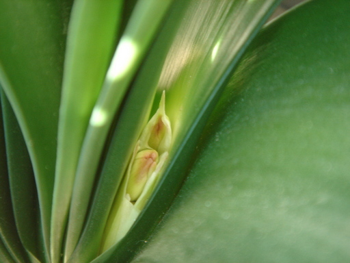 �^�N����́u��͉��|�v