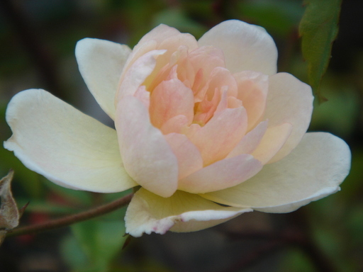 �^�N����́u��͉��|�v