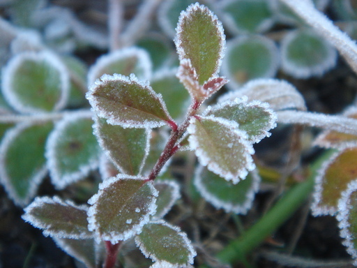 �^�N����́u��͉��|�v