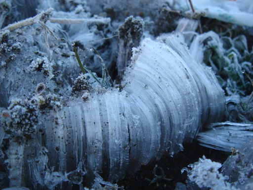 �^�N����́u��͉��|�v