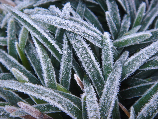 �^�N����́u��͉��|�v