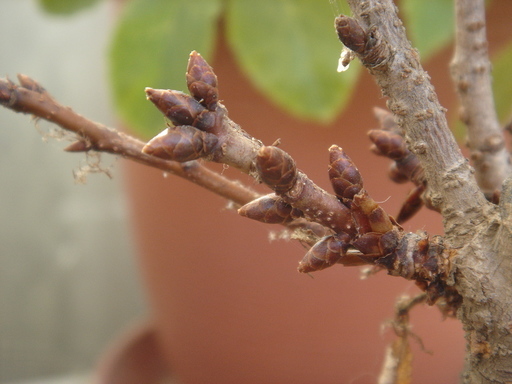 �^�N����́u��͉��|�v