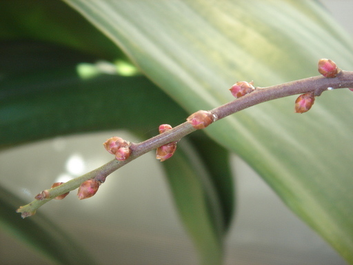 �^�N����́u��͉��|�v