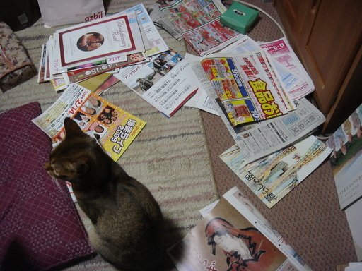 �^�N����́u��͉��|�v