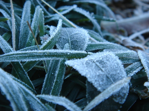 �^�N����́u��͉��|�v